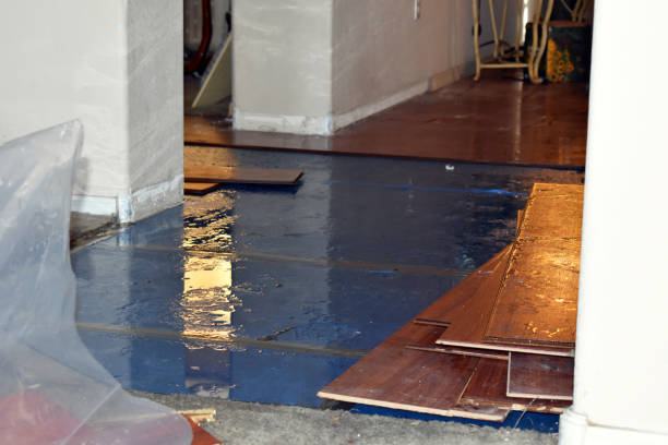 Professional Water Damage Restoration technician working in Rowe, MA